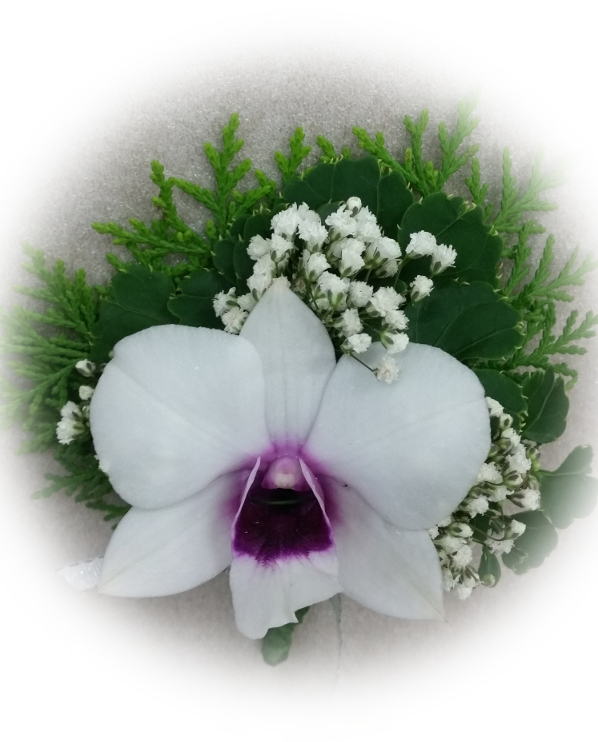 Orchid Corsage