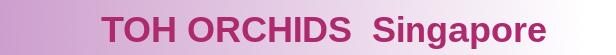 Toh Orchids Banner 1